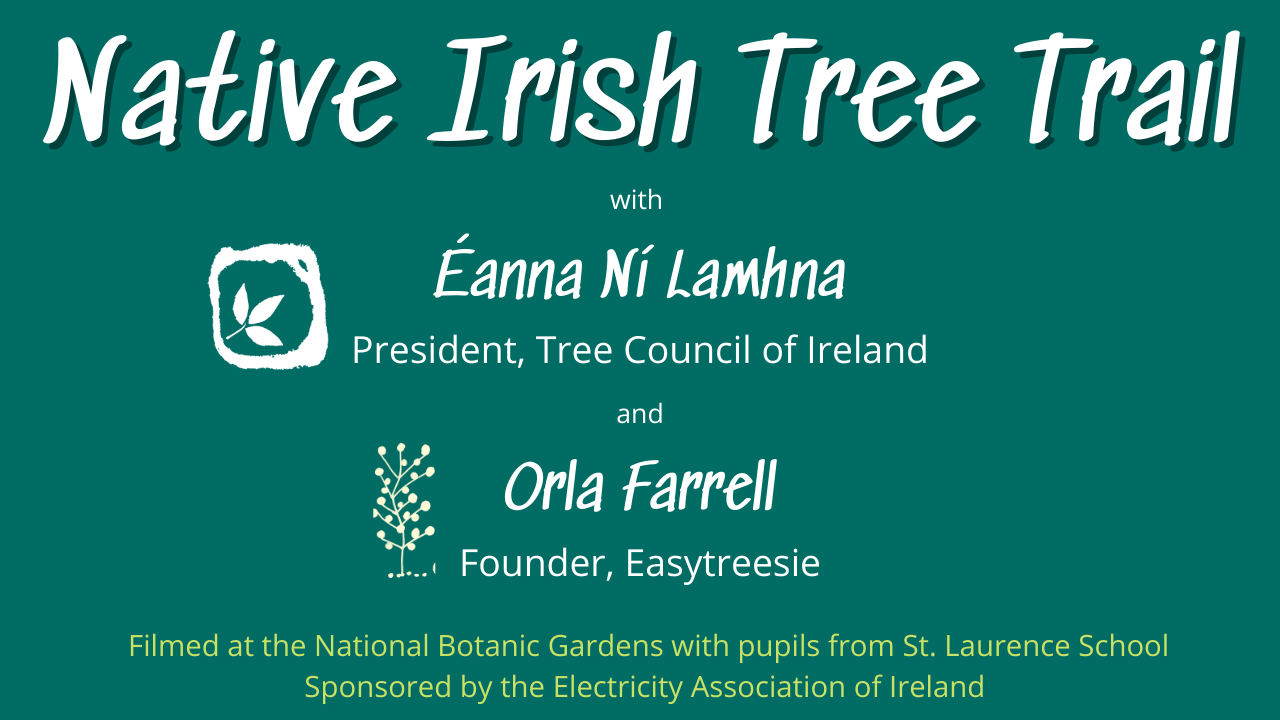 About the Native Irish Tree Trail
